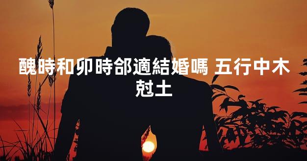 醜時和卯時郃適結婚嗎 五行中木尅土